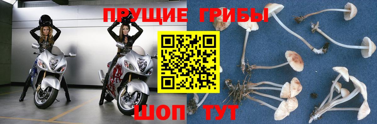 Псилоцибиновые грибы Magic Shrooms  Вход с VPN  Сорочинск 